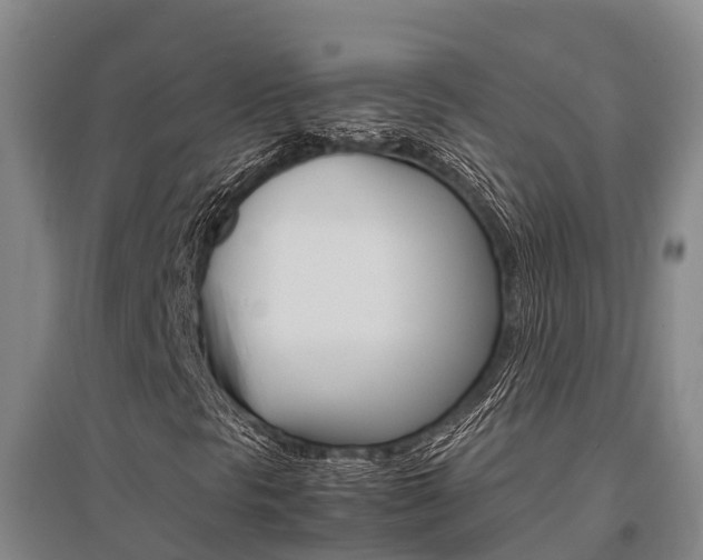 X0000095891297200801110819
