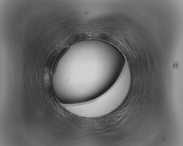 X0000095891298200801110819