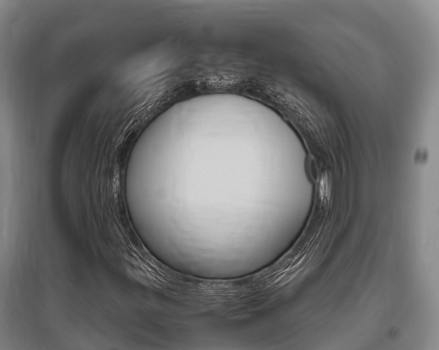 X0000095891299200801110819