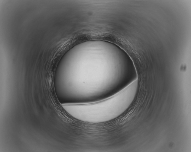 X0000095891300200801110819