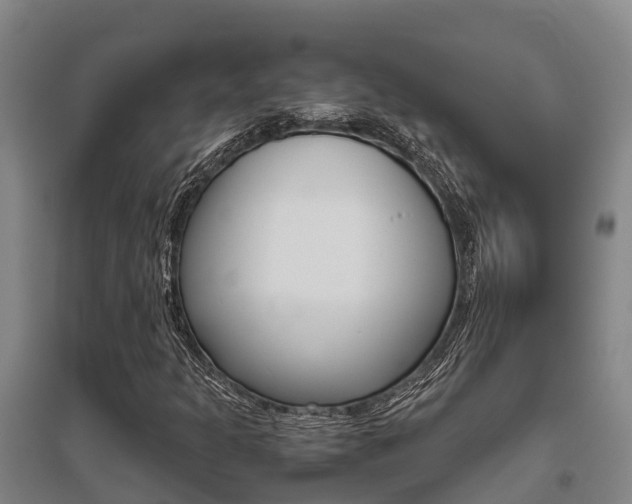 X0000095891301200801110819