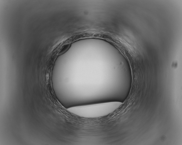 X0000095891302200801110819