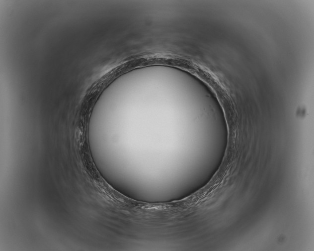 X0000095891303200801110819