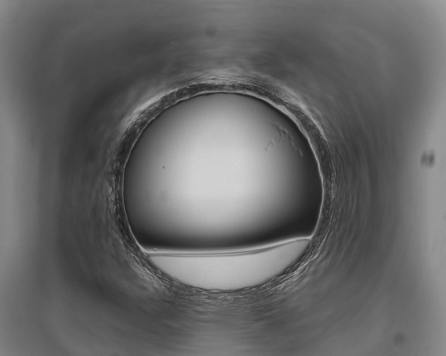 X0000095891304200801110819