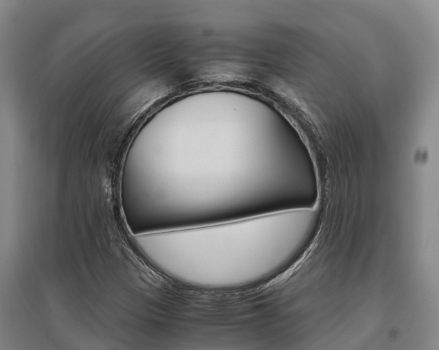 X0000095891305200801110819
