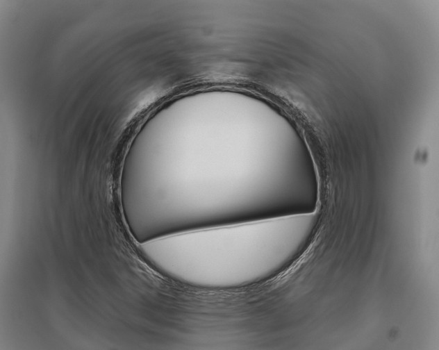 X0000095891306200801110819