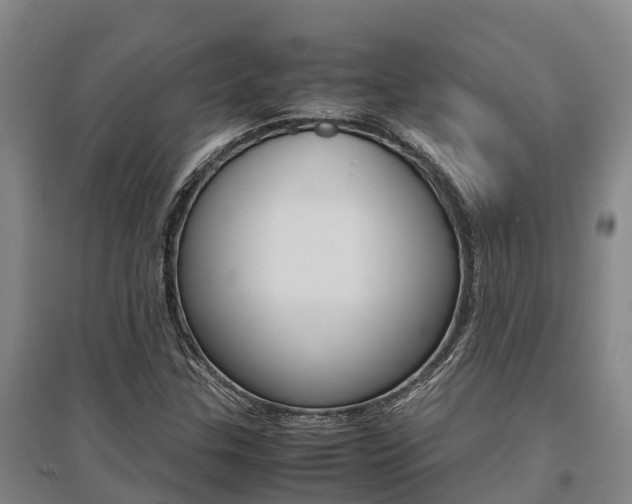 X0000095891307200801110819