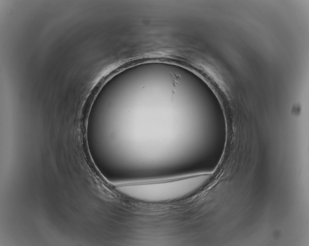 X0000095891308200801110819