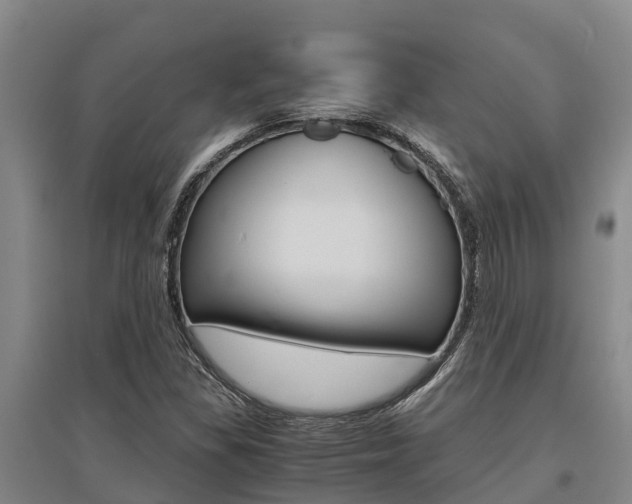 X0000095891309200801110819