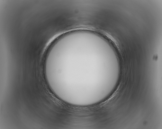 X0000095891310200801110819