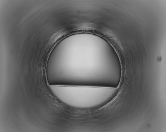 X0000095891313200801110819