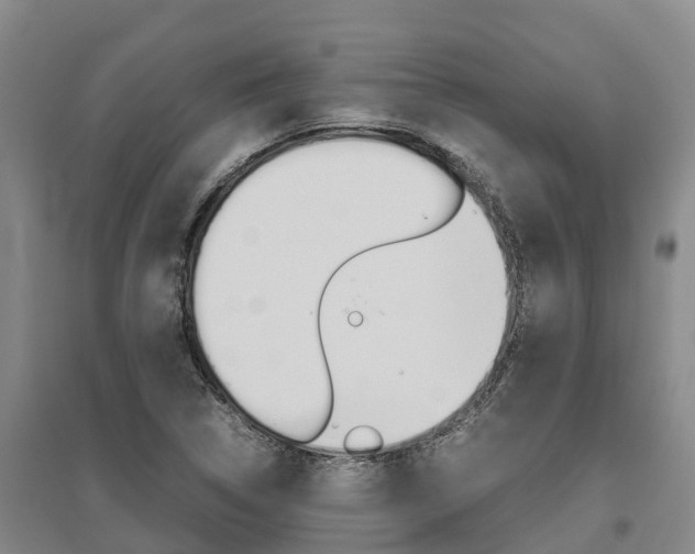 X0000095891314200801110819