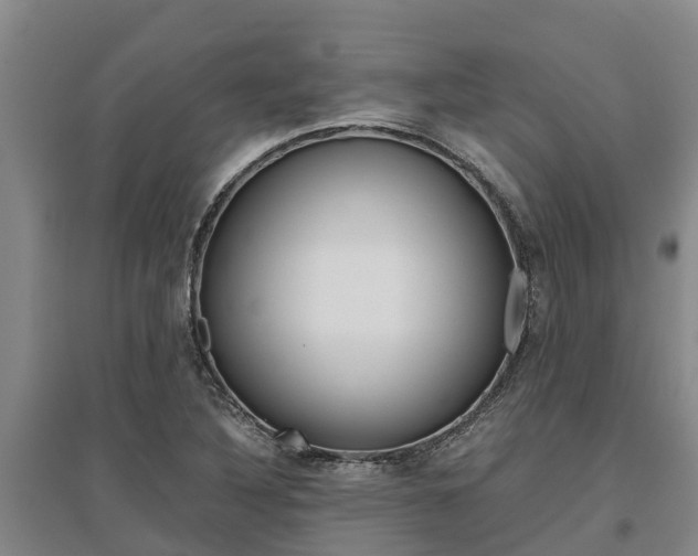 X0000095891316200801110819