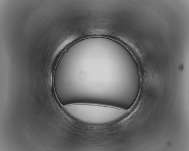 X0000095891317200801110819