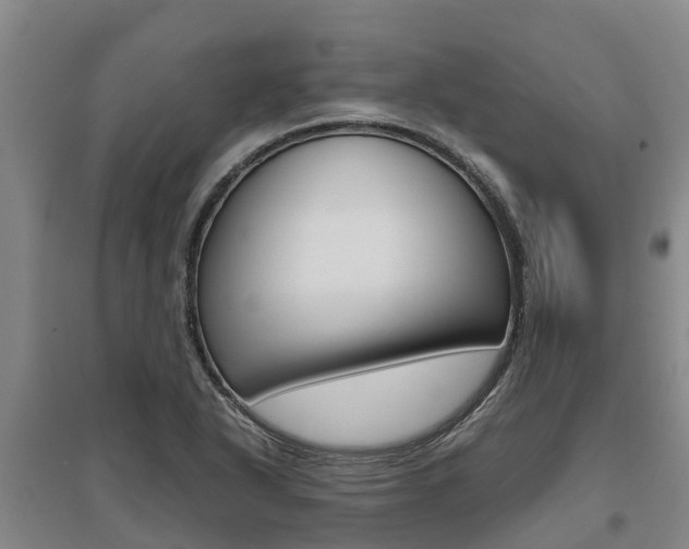 X0000095891318200801110819