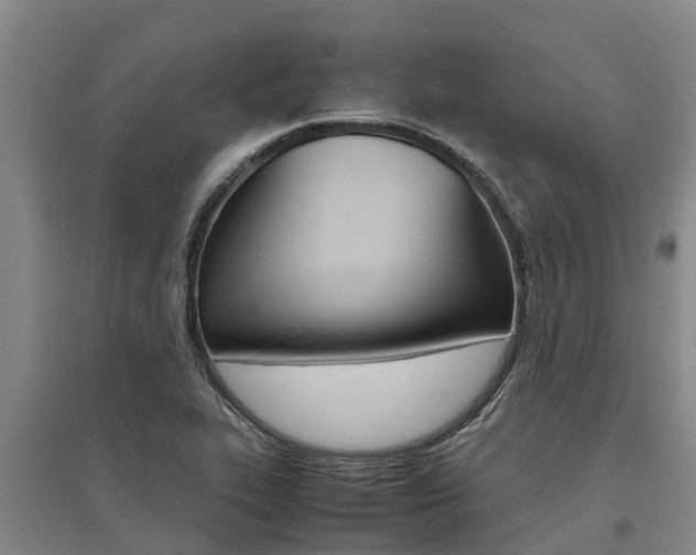 X0000095891319200801110819