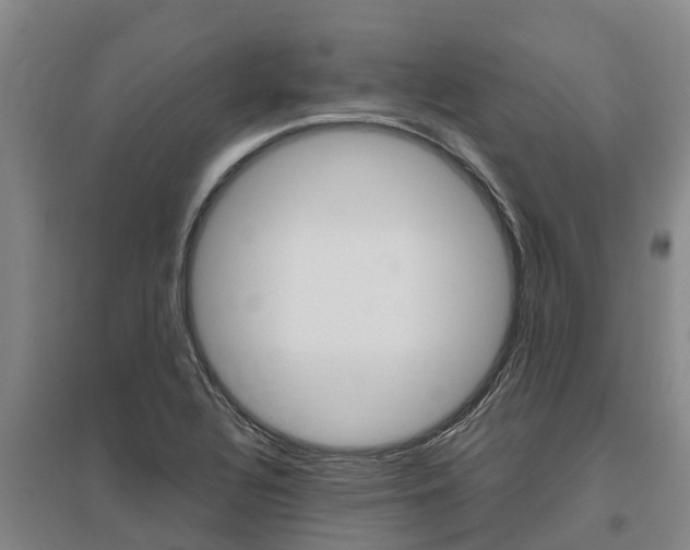 X0000095891320200801110819