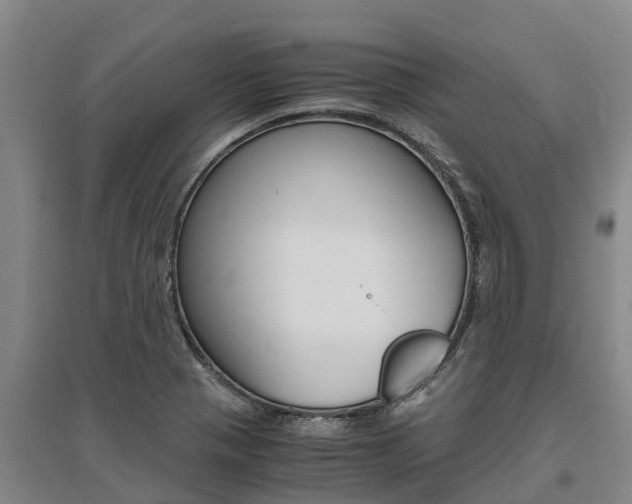 X0000095891321200801110819