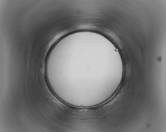 X0000095891322200801110819