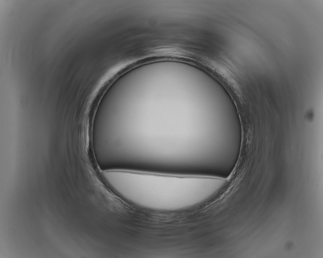 X0000095891323200801110819