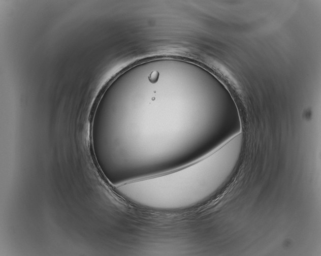 X0000095891324200801110819
