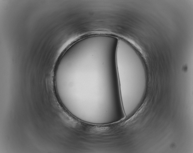 X0000095891325200801110819