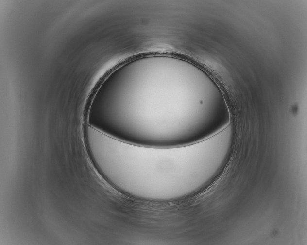 X0000095891326200801110819