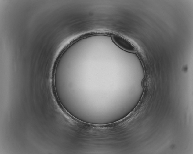 X0000095891327200801110819