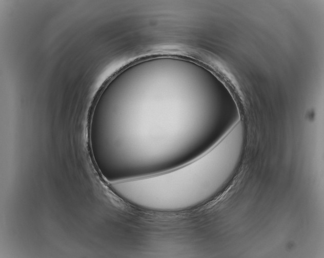 X0000095891328200801110819