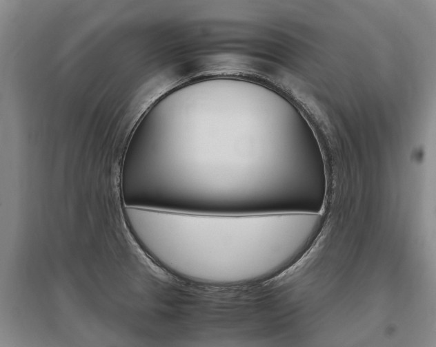 X0000095891329200801110819
