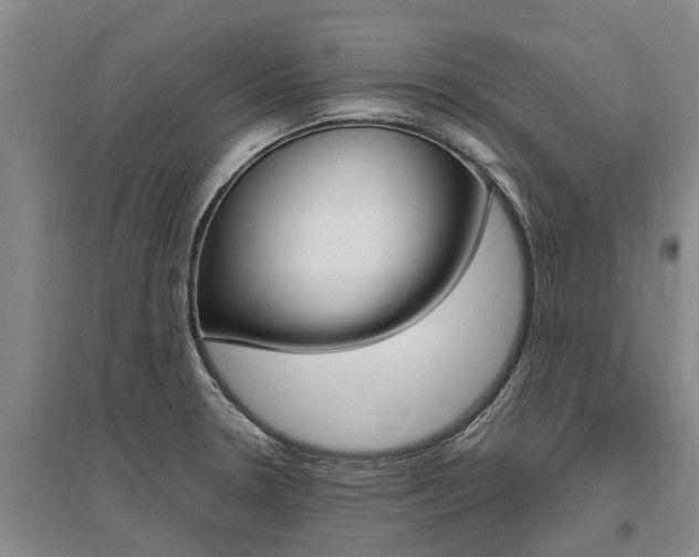 X0000095891330200801110819