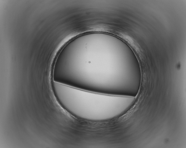 X0000095891331200801110819