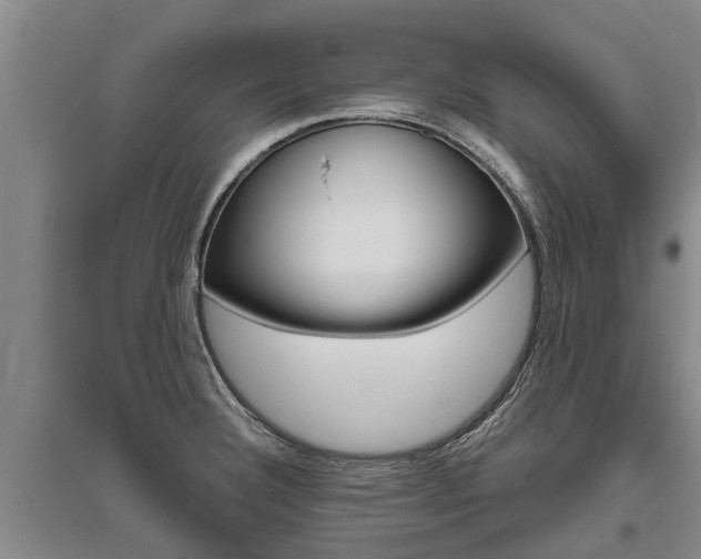 X0000095891332200801110819