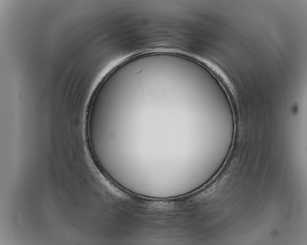 X0000095891333200801110819