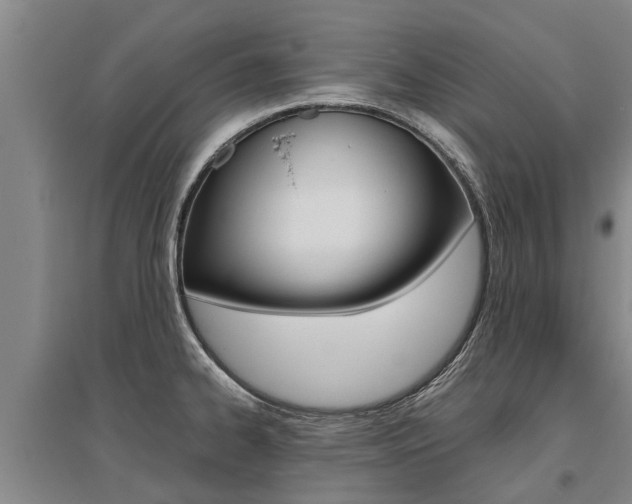 X0000095891334200801110819