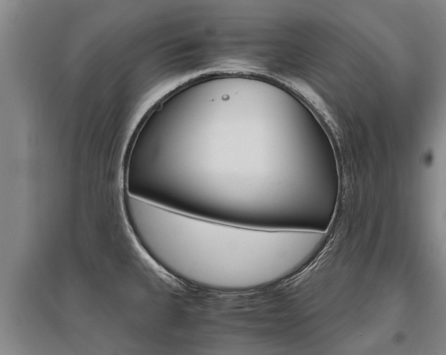 X0000095891335200801110819