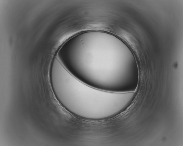 X0000095891336200801110819