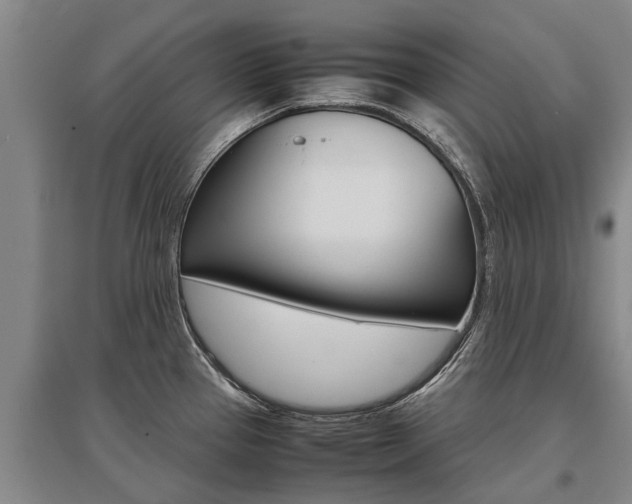 X0000095891337200801110819