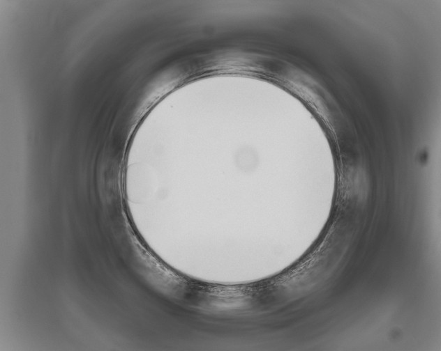 X0000095891338200801110819
