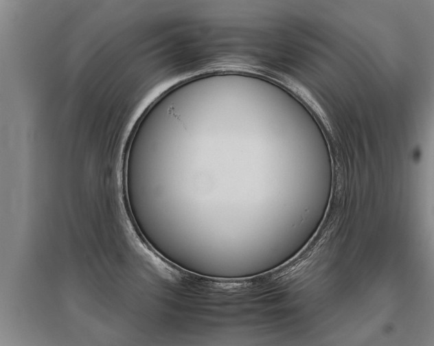 X0000095891339200801110819