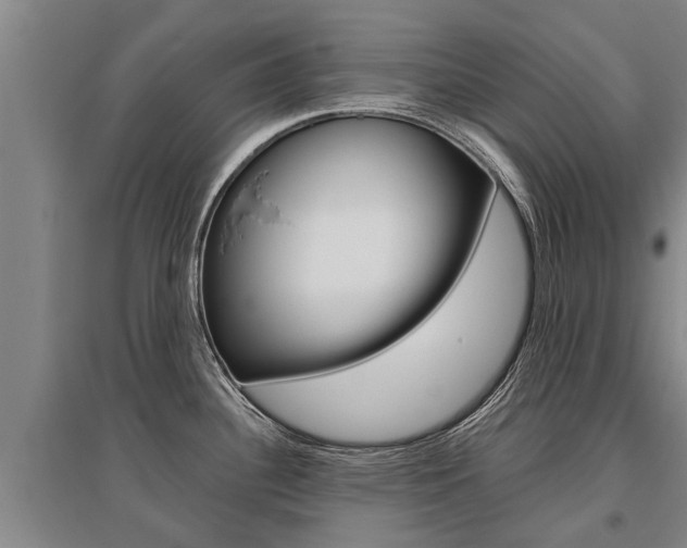 X0000095891340200801110819