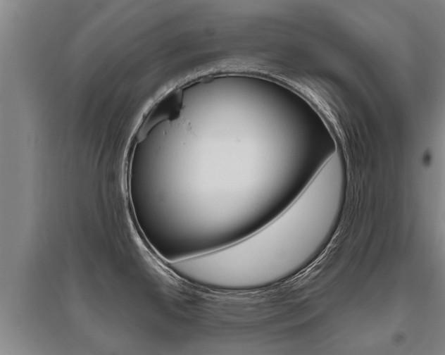 X0000095891342200801110819