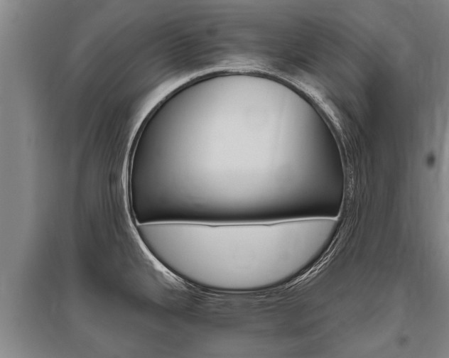 X0000095891343200801110819