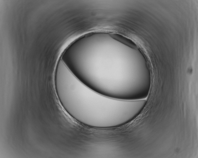X0000095891344200801110819