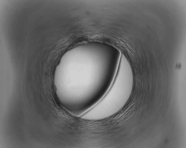 X0000095891345200801110819