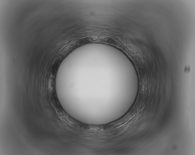 X0000095891346200801110819