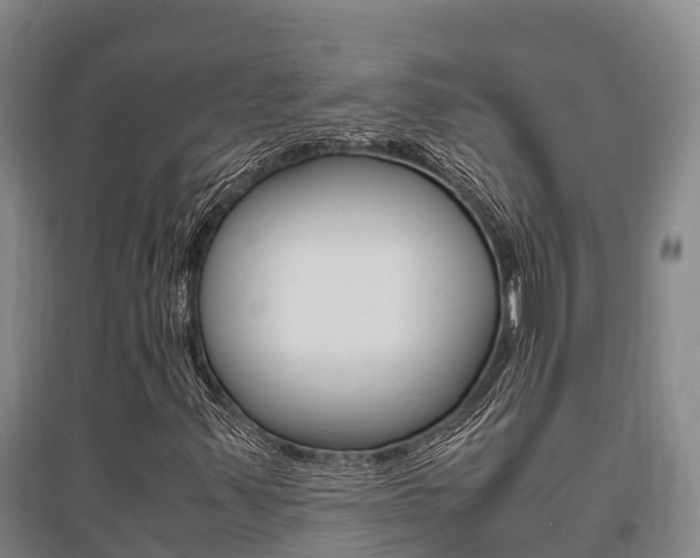 X0000095891347200801110819