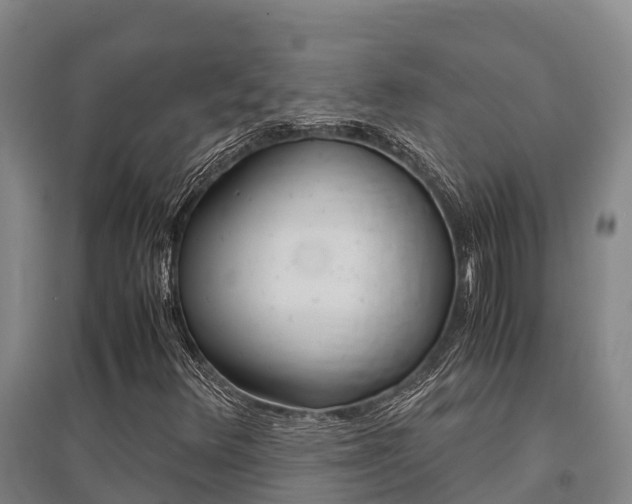 X0000095891348200801110819