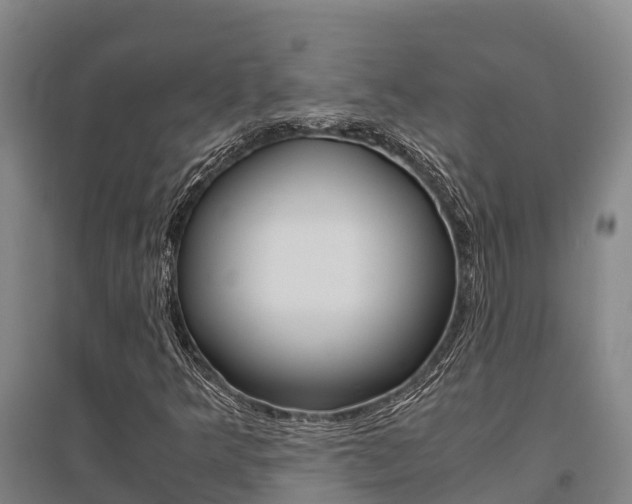 X0000095891349200801110819