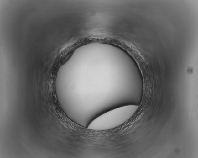X0000095891350200801110819